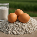 El papel del carbonato de calcio en la nutrición avícola moderna