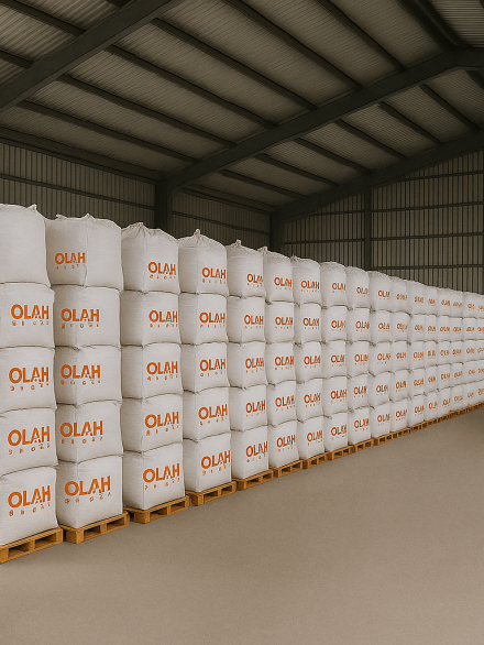 olah_ 22_19_01